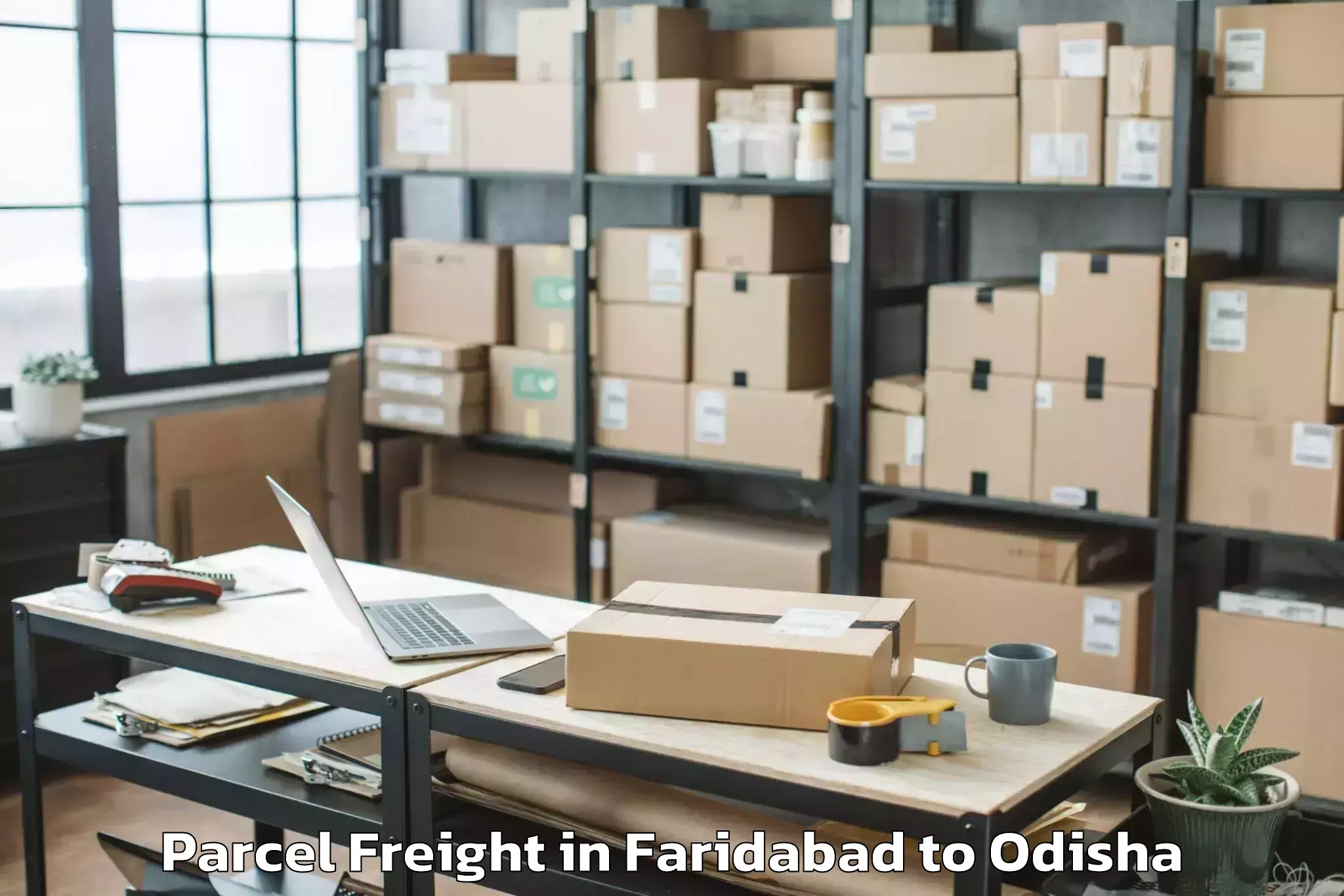 Quality Faridabad to Sri Sri University Cuttack Parcel Freight